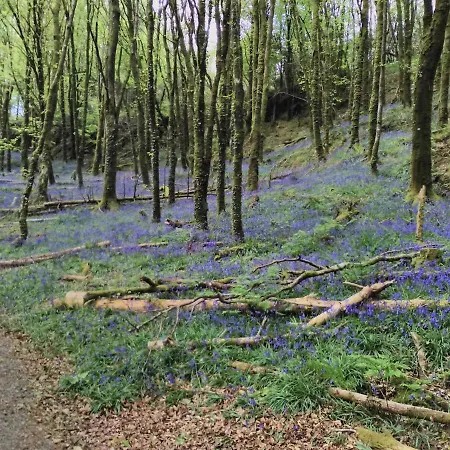 Lovely Sea View 2-bed In Rineen Sleeps 4