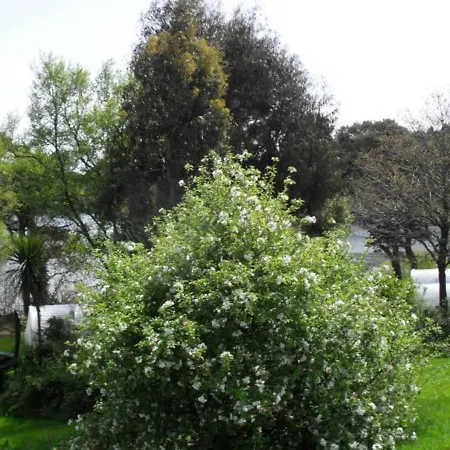 아파트 Lovely Sea View 2-bed In Rineen Sleeps 4