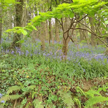 Lovely Sea View 2-bed In Rineen Sleeps 4 شقة