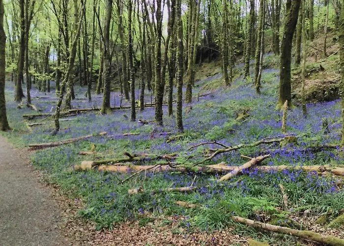 Lovely Sea View 2-bed In Rineen Sleeps 4