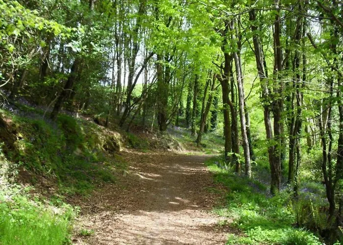 Appartement Lovely Sea View 2-bed In Rineen Sleeps 4 *