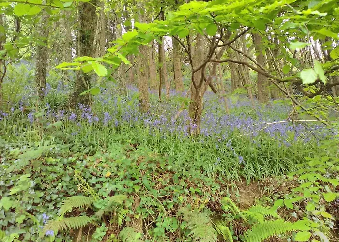 Lovely Sea View 2-bed In Rineen Sleeps 4 Appartement